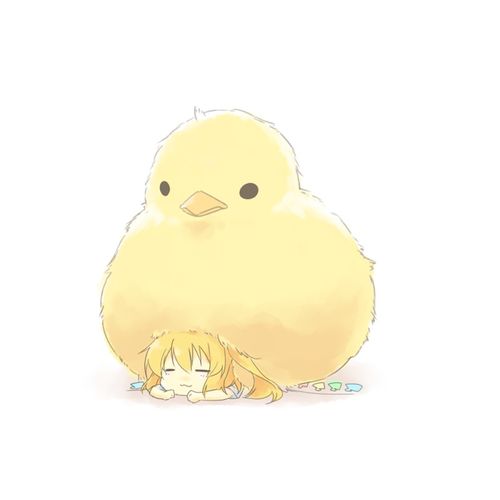 src/1326019378438.jpg: 800x800, 29 kb
