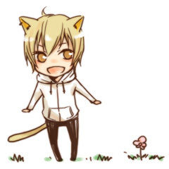 src/1326519917480.jpg: 240x240, 16 kb
