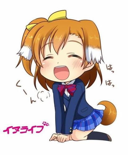 src/1436325656165.jpg: 480x581, 33 kb