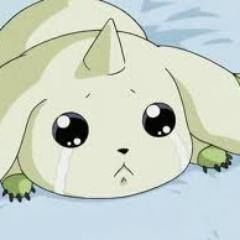 src/1562828527146.jpg: 240x240, 7 kb