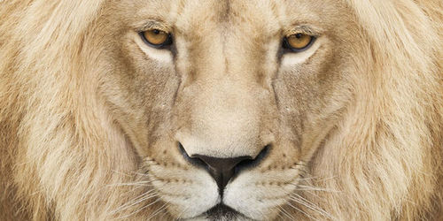 src/1438471259199.jpg: 600x300, 50 kb