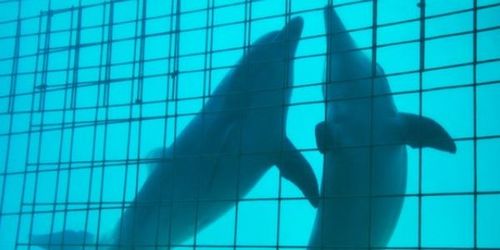 src/1465659262003.jpg: 600x300, 24 kb