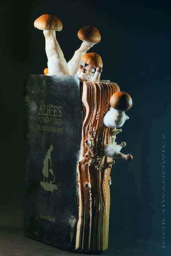 src/1487176239775.jpg: 640x960, 47 kb