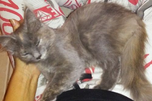 src/1525099317555.jpg: 600x400, 55 kb