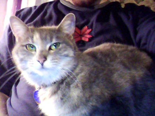 src/1324618662150.jpg: 640x480, 58 kb
