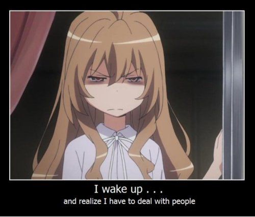 src/1326924960285.jpg: 500x427, 29 kb