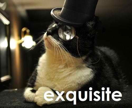 src/1330464114549.jpg: 500x409, 32 kb