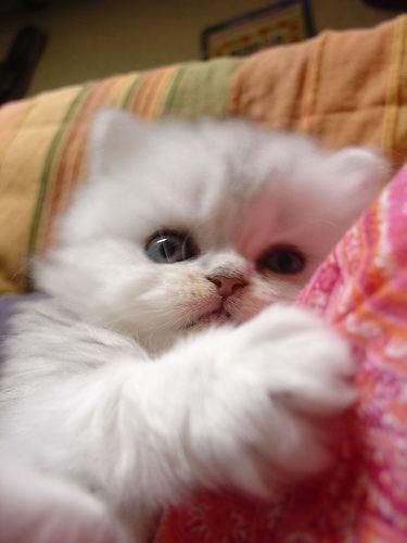 src/1331543641939.jpg: 375x500, 55 kb