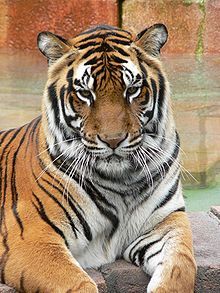 src/1355151239108.jpg: 220x293, 24 kb