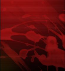 src/1365038242731.png: 221x241, 59 kb