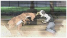 src/1377223365615.gif: 272x153, 959 kb