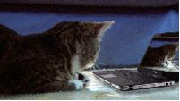 src/1378574810996.gif: 200x112, 204 kb