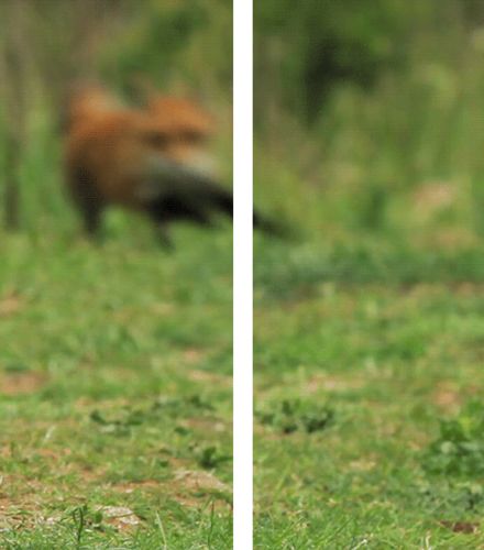 src/1380628180163.gif: 500x567, 978 kb
