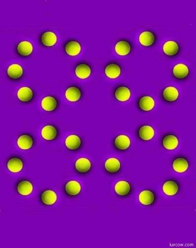 src/1383656992759.jpg: 555x700, 22 kb