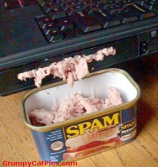src/1384693663293.jpg: 310x328, 25 kb