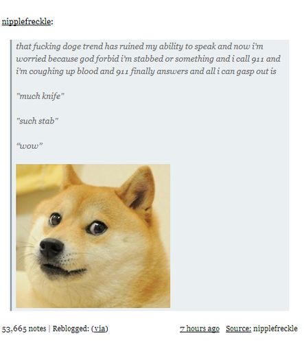 src/1385079512349.png: 514x579, 156 kb