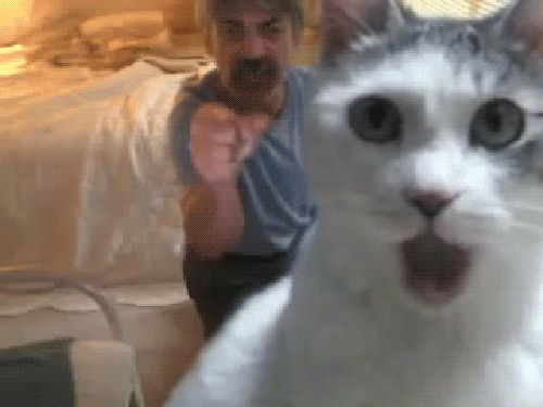src/1385090233251.gif: 500x375, 286 kb