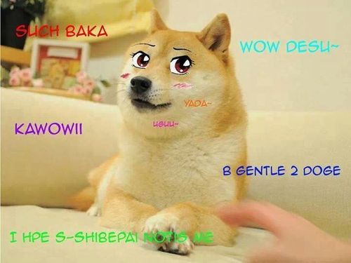 src/1388906678018.jpg: 720x540, 45 kb