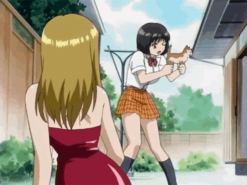 src/1389928245227.gif: 500x375, 185 kb