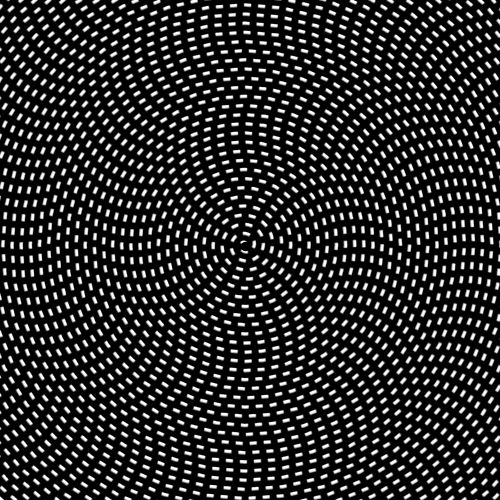 src/1393488950446.gif: 500x500, 441 kb