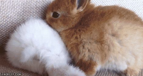 src/1398051494890.gif: 470x250, 868 kb