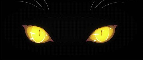 src/1398480018330.gif: 500x211, 917 kb