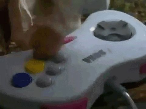 src/1400883680304.gif: 480x360, 999 kb
