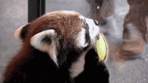 src/1408416436184.gif: 500x281, 320 kb
