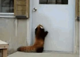 src/1408416483820.gif: 278x199, 113 kb