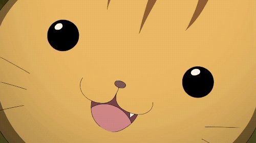 src/1411509463757.gif: 500x280, 561 kb