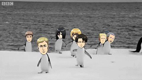 src/1411579245858.gif: 480x270, 789 kb
