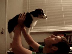 src/1412976188066.gif: 240x180, 419 kb
