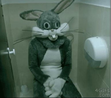 src/1412996186529.gif: 385x340, 989 kb