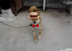 src/1417057685223.gif: 250x176, 800 kb