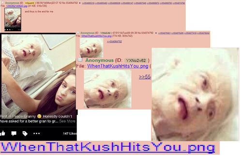 src/1417066797341.png: 1292x848, 583 kb
