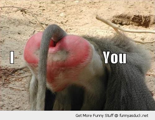 src/1418850097336.jpg: 499x388, 36 kb