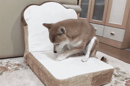 src/1422687631181.gif: 500x332, 998 kb