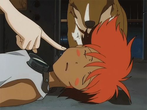 src/1426231158436.gif: 500x375, 498 kb
