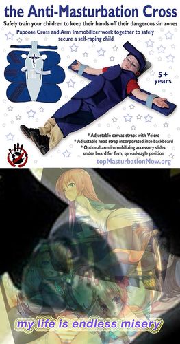 src/1427246830576.png: 500x948, 626 kb