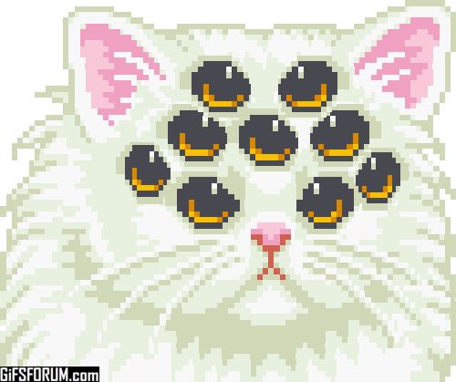 src/1427248646584.gif: 500x419, 553 kb