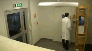 src/1430321104790.gif: 300x168, 925 kb