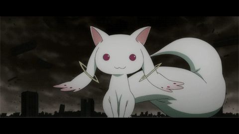 src/1430701774794.gif: 480x270, 437 kb