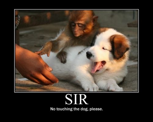 src/1432324679751.jpg: 530x424, 87 kb
