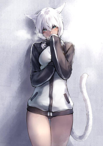 src/1444170697255.jpg: 499x707, 38 kb