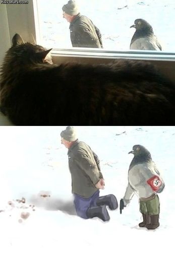 src/1459830673481.jpg: 491x707, 48 kb