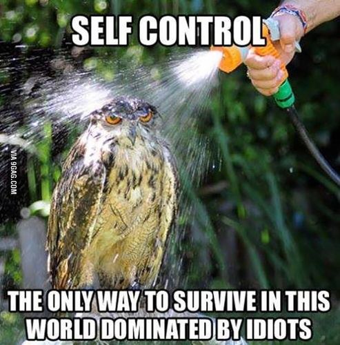 src/1463288717341.jpg: 615x623, 64 kb