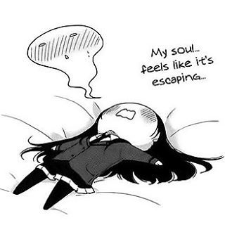 src/1472206121096.jpg: 320x320, 16 kb