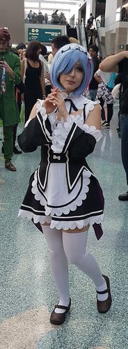 src/1499145786884.jpg: 443x1200, 319 kb