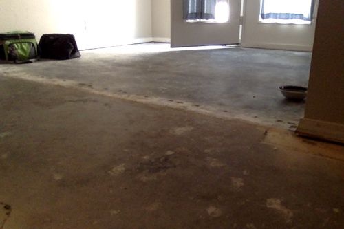 src/1504136085811.jpg: 720x480, 65 kb