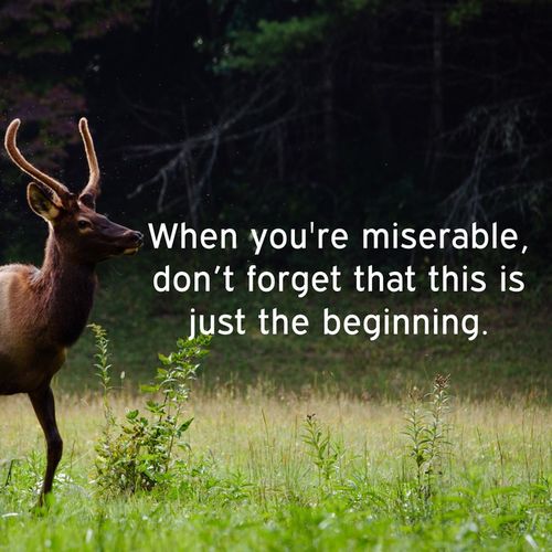 src/1541703093556.jpg: 650x650, 114 kb